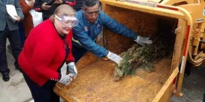 Arranca Programa Recicla Tu Navidad