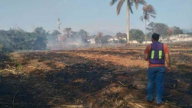 Bomberos Sofocan Incendio De Pastizal