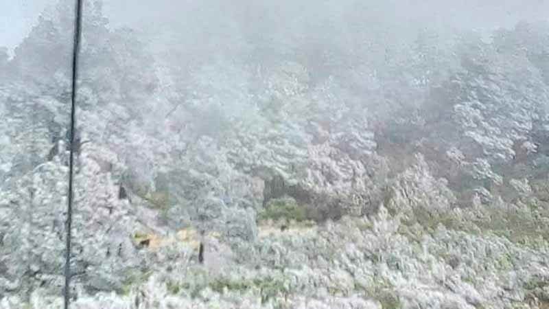 Fuertes Heladas En Faldas Del Pico De Orizaba