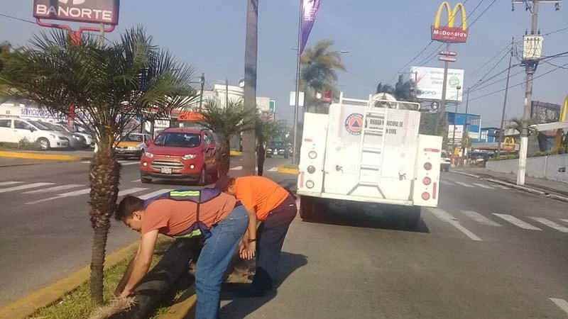 Minimos Danos Por Surada En El Municipio
