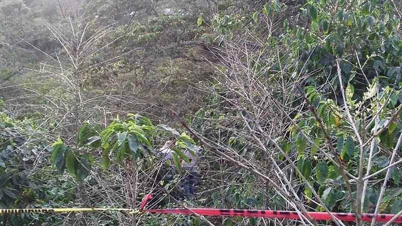 Hallan Muerto A Campesino Al Parecer Se Suicido
