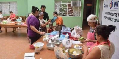 Invita Dif A Inscribirse En Talleres Certificados