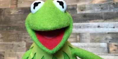 Los Muppets Podrian Regresar Como Serie De Streaming De Disney
