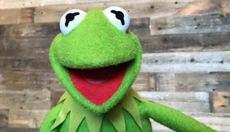 Los Muppets Podrian Regresar Como Serie De Streaming De Disney