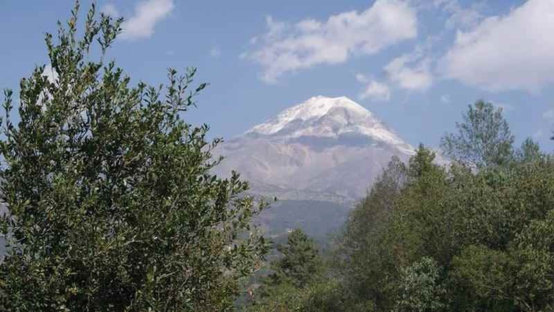 Se Preven Incendios Forestales En Faldas Del Pico Conafor