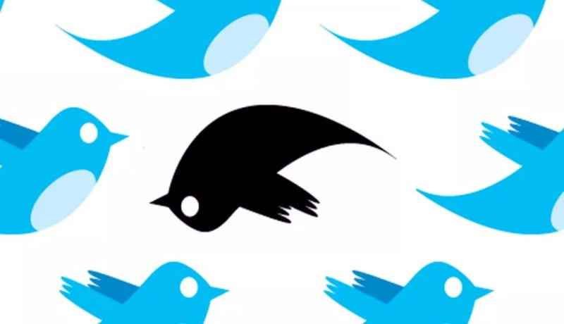 Twitter Habilita Un Servicio Que Permite Alertar De Conductas Suicidas