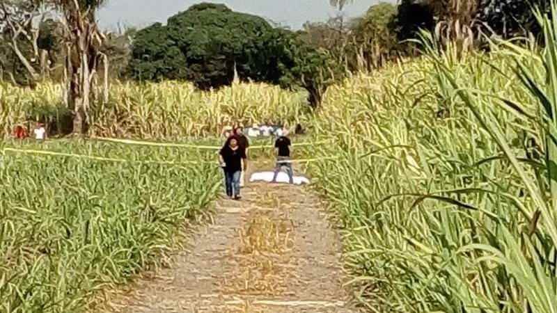 Asesinado A Punaladas En Canales De Cacahuatal