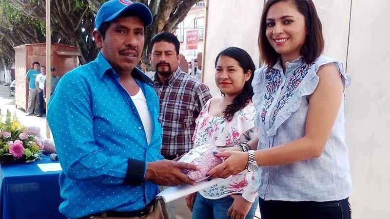 Entregan Semilla A Cafetaleros De Ixhuatlan