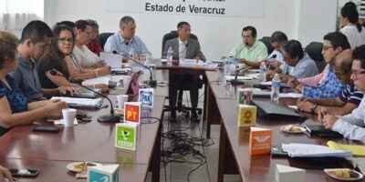 Inician 5 Formulas Campanas A Diputacion Federal Por Cordoba