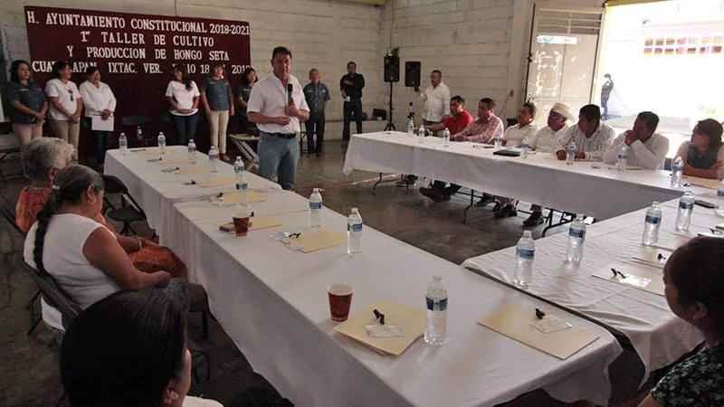 Impulsan cultivo y producción de hongo seta en Ixtac