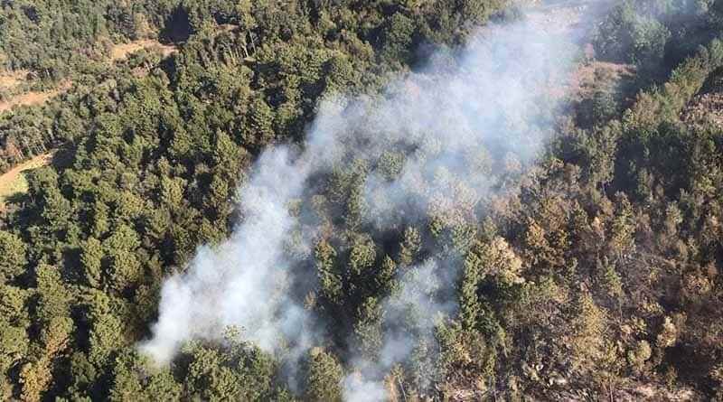 Incendio arrasa bosques de Zongolica y deja una persona muerta