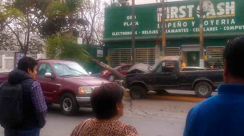 Chocan y derriban dos palmeras en bulevar a Fortín