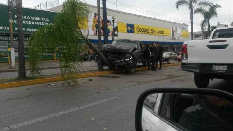 Chocan y derriban dos palmeras en bulevar a Fortín