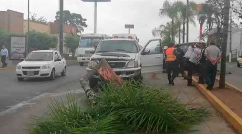 Chocan y derriban dos palmeras en bulevar a Fortín