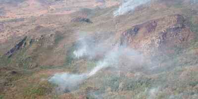 Trabaja SEDEMA en restauración de zonas afectadas por incendios