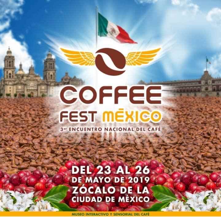 Vamos a detonar la producción de café veracruzano: Gómez Cazarín