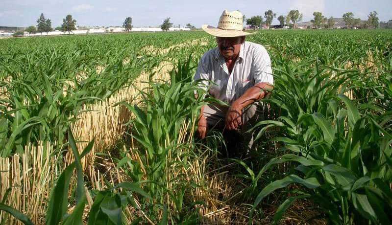 Aniversario de la promulgación de la Ley agraria, en 1915