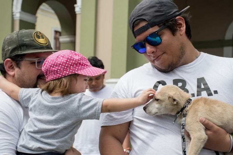 Perros rescatados en albergue “Mascotitas” podrán darse en adopción en un mes