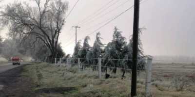 Sierra de Agua - Magueyitos