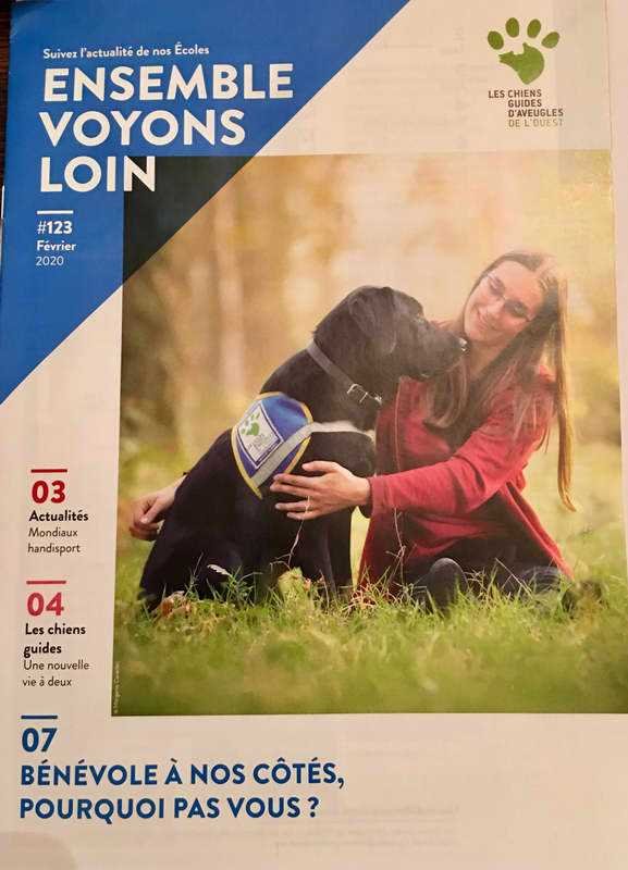 Perros guías para invidentes
