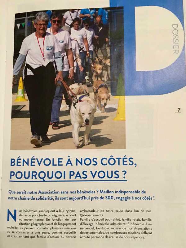 Perros guías para invidentes