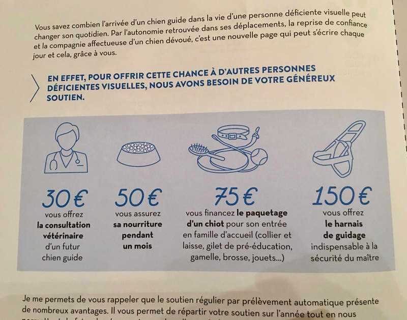 Perros guías para invidentes