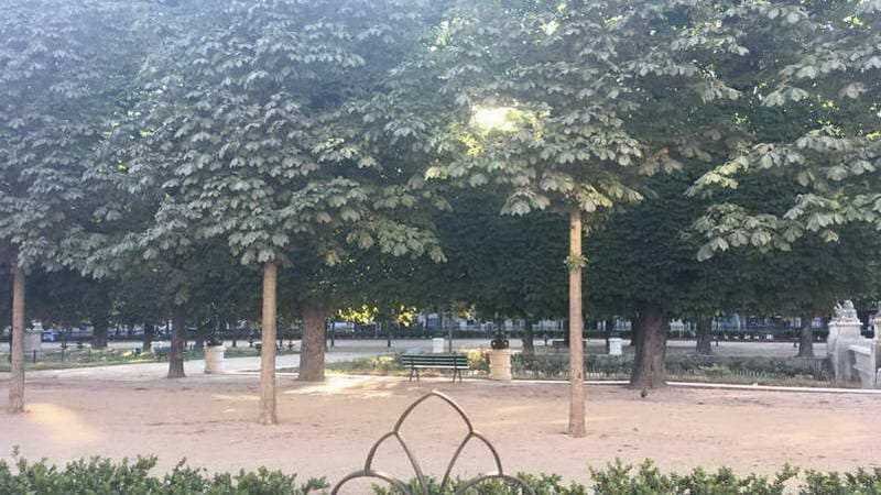 Del otro lado del parque