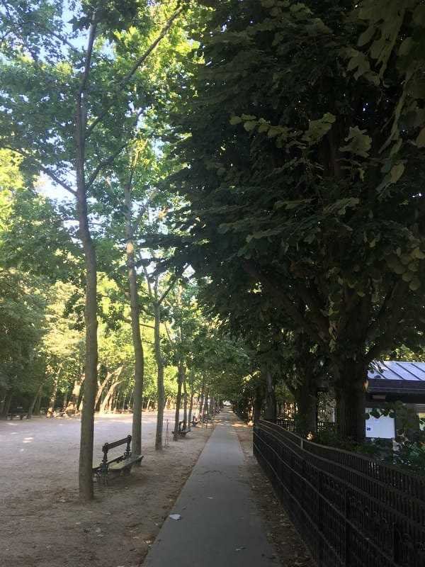 Del otro lado del parque