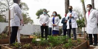 Huerto IMSS