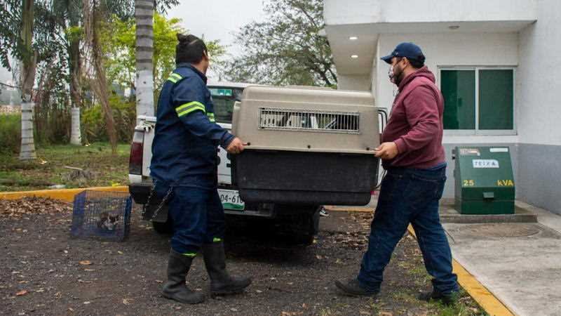 Animales de compañía encuentran nuevos hogares gracias a Adopta desde Casa de CBA Córdoba