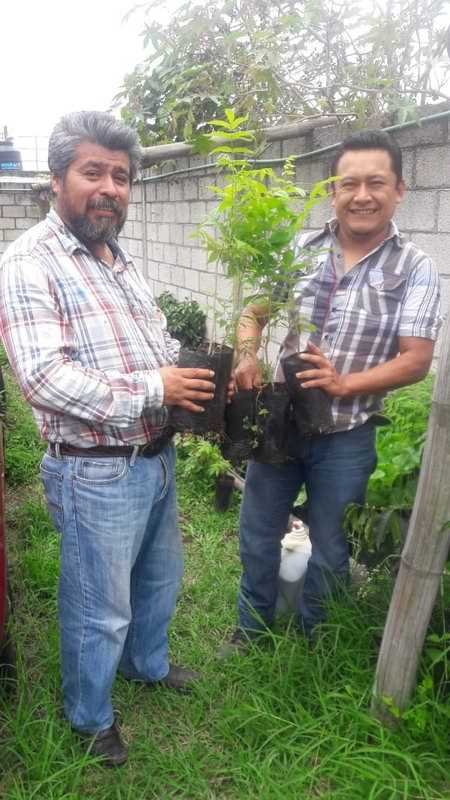 Inicia el viernes campaña de reforestación