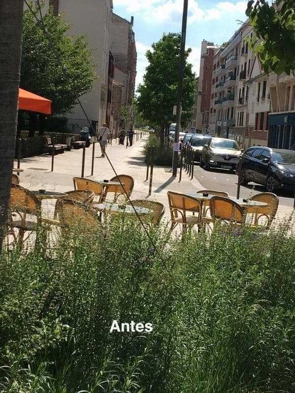 Progresivo regreso a la normalidad