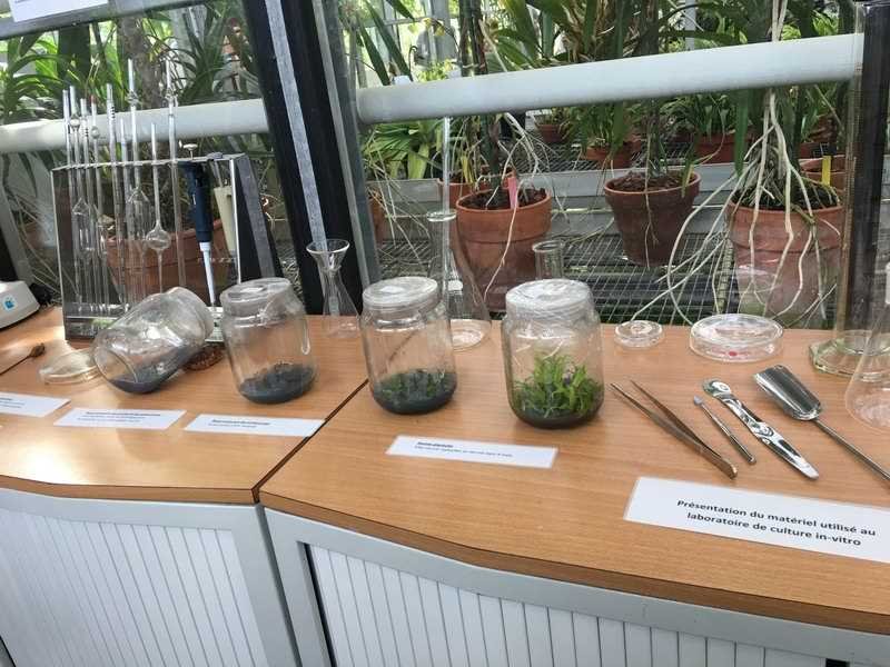 Los invernaderos del jardín de Luxemburgo