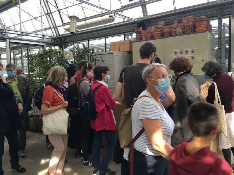 Los invernaderos del jardín de Luxemburgo
