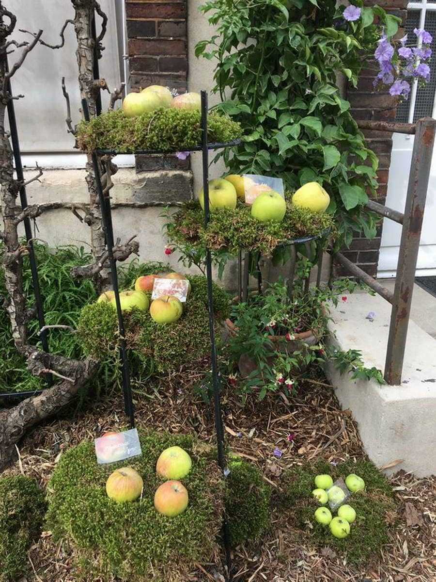 Los invernaderos del jardín de Luxemburgo