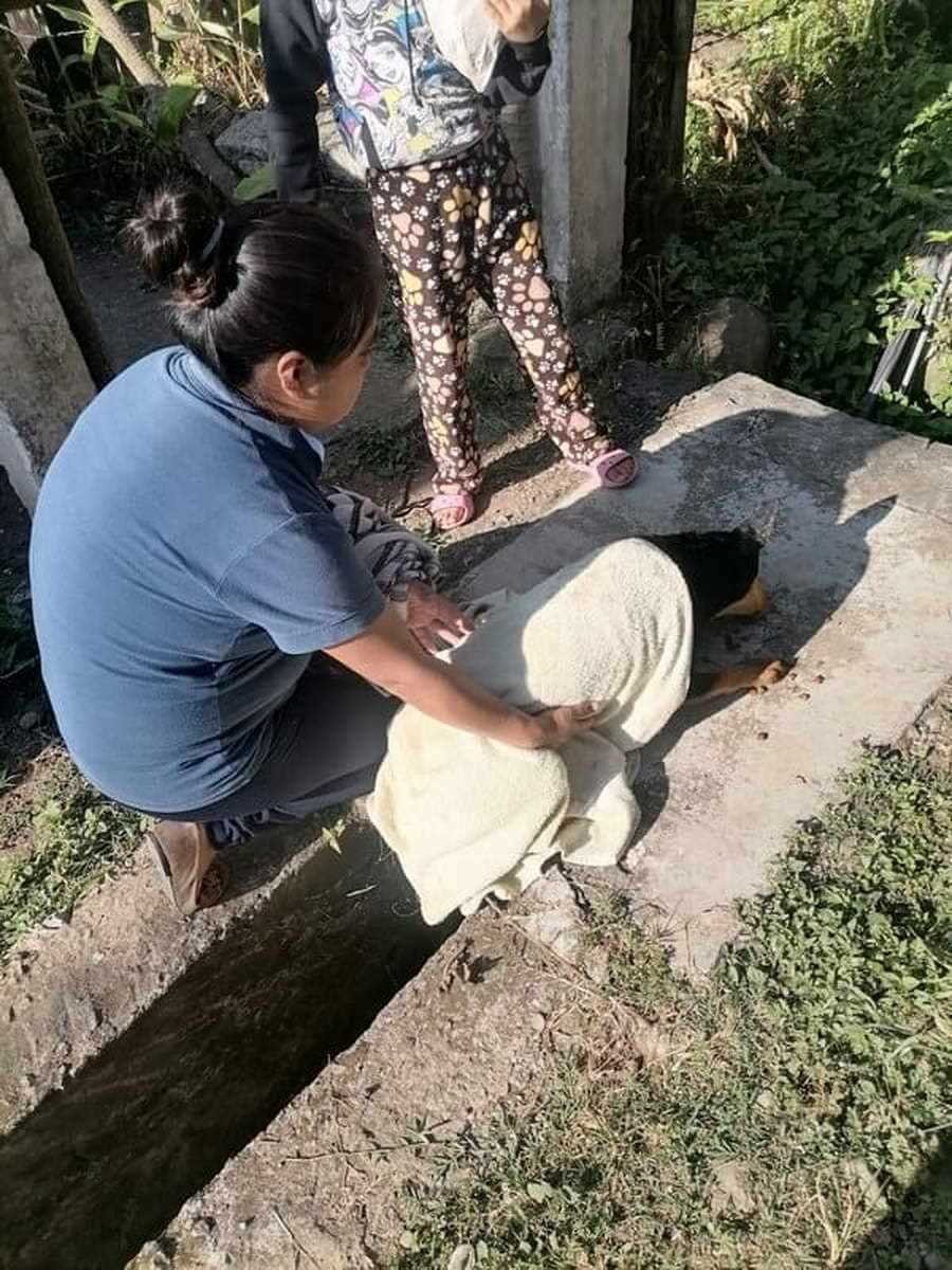 Rescatistas y bomberos rescatan a perrito que cayó a pozo en comunidad de Monte Salas