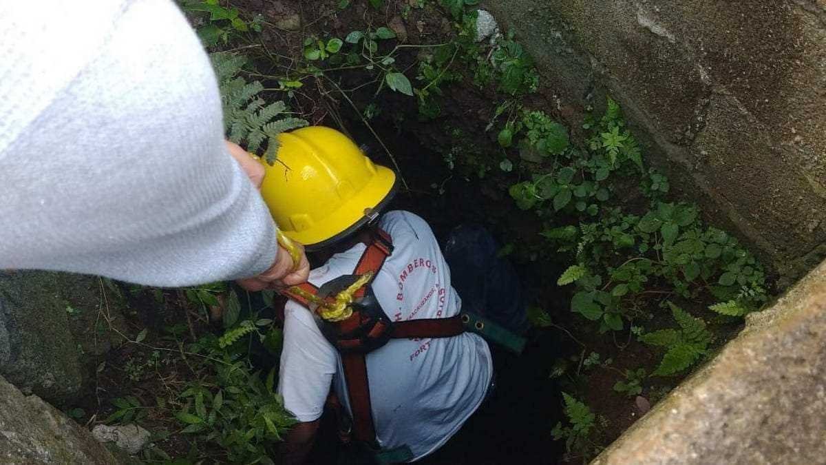 Rescatistas y bomberos rescatan a perrito que cayó a pozo en comunidad de Monte Salas