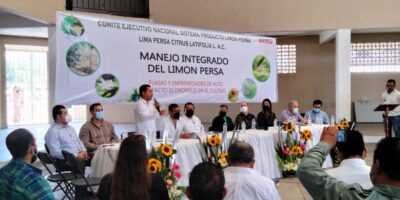 Crece exportación de limón