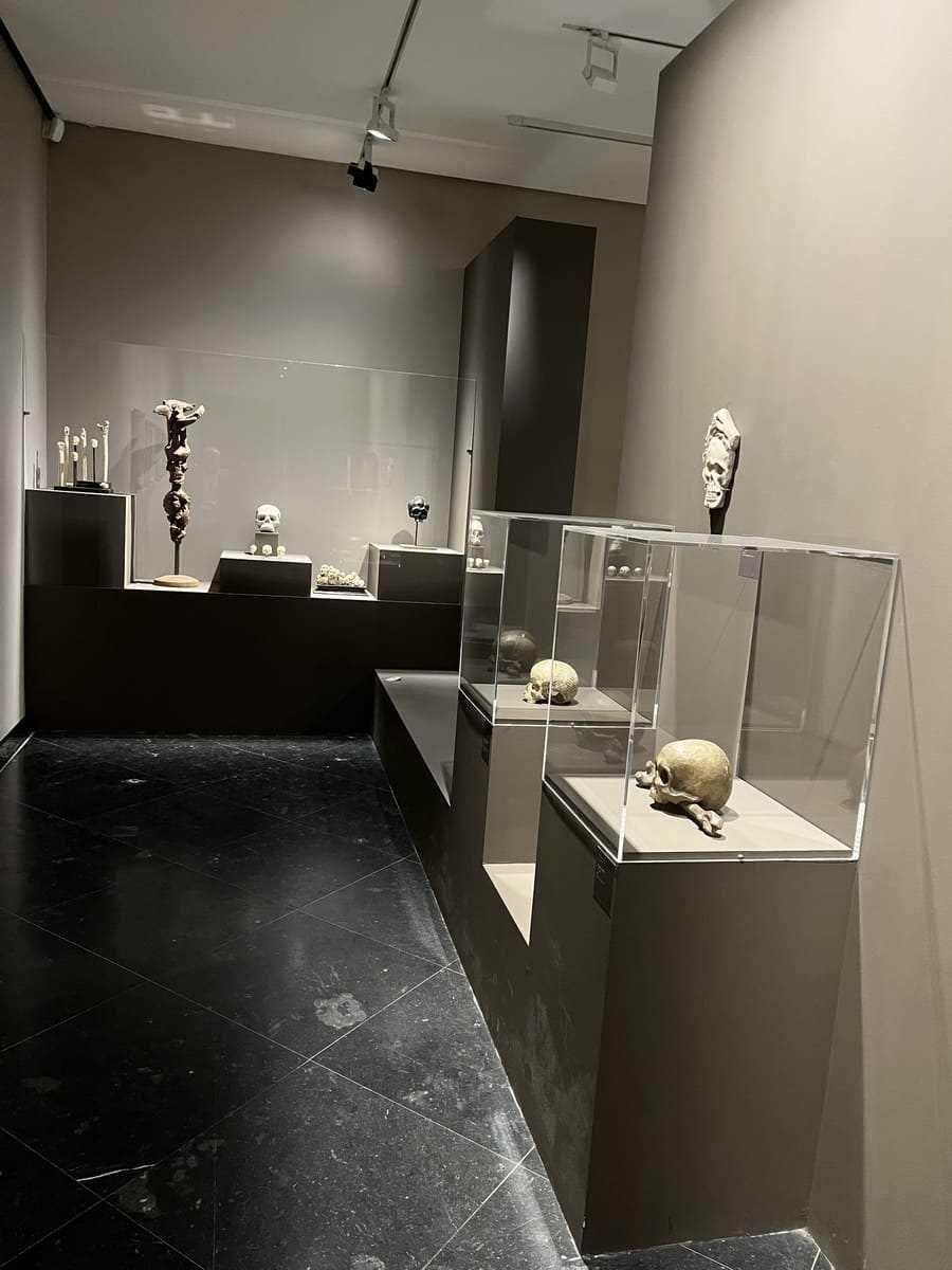 Una exposición que nos invita a reflexionar