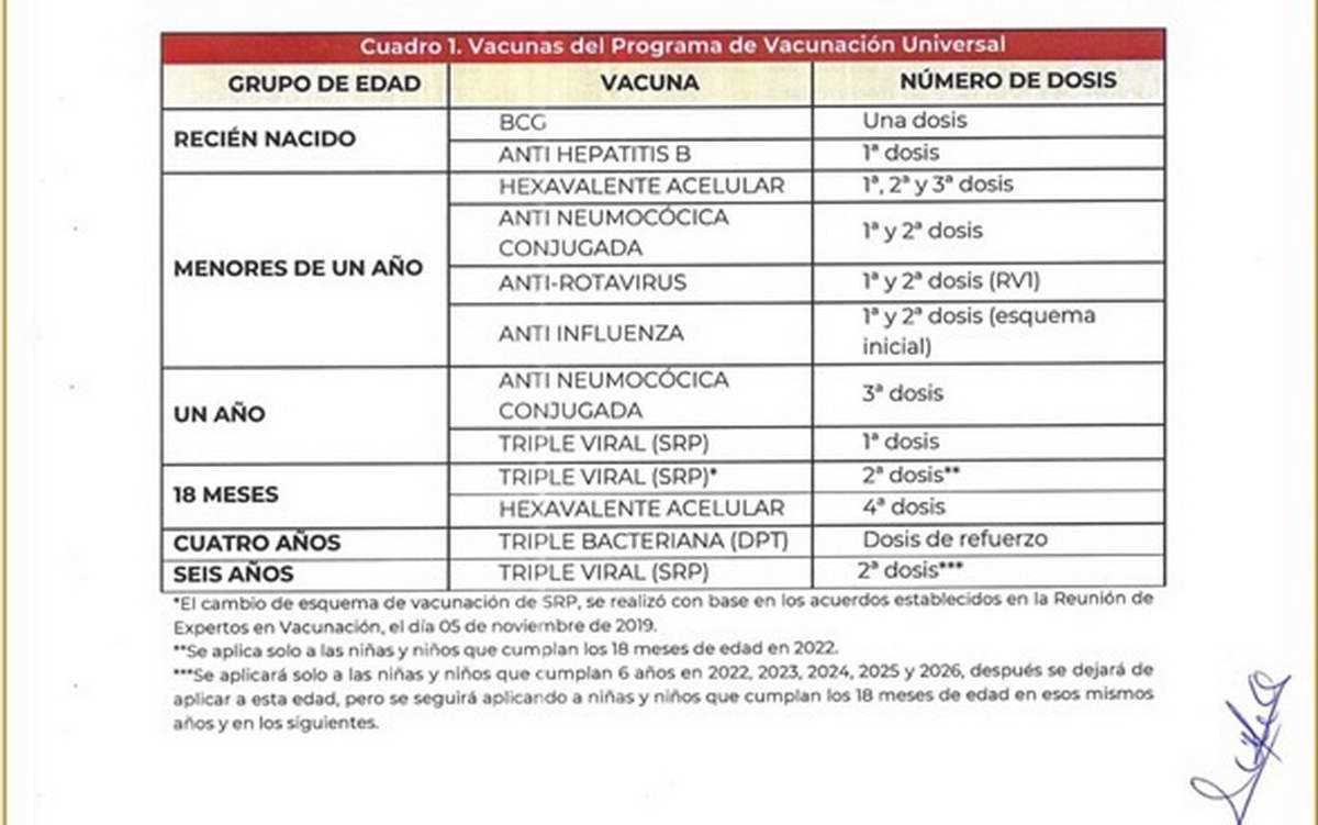 Malísimo el manejo de las vacunas infantiles