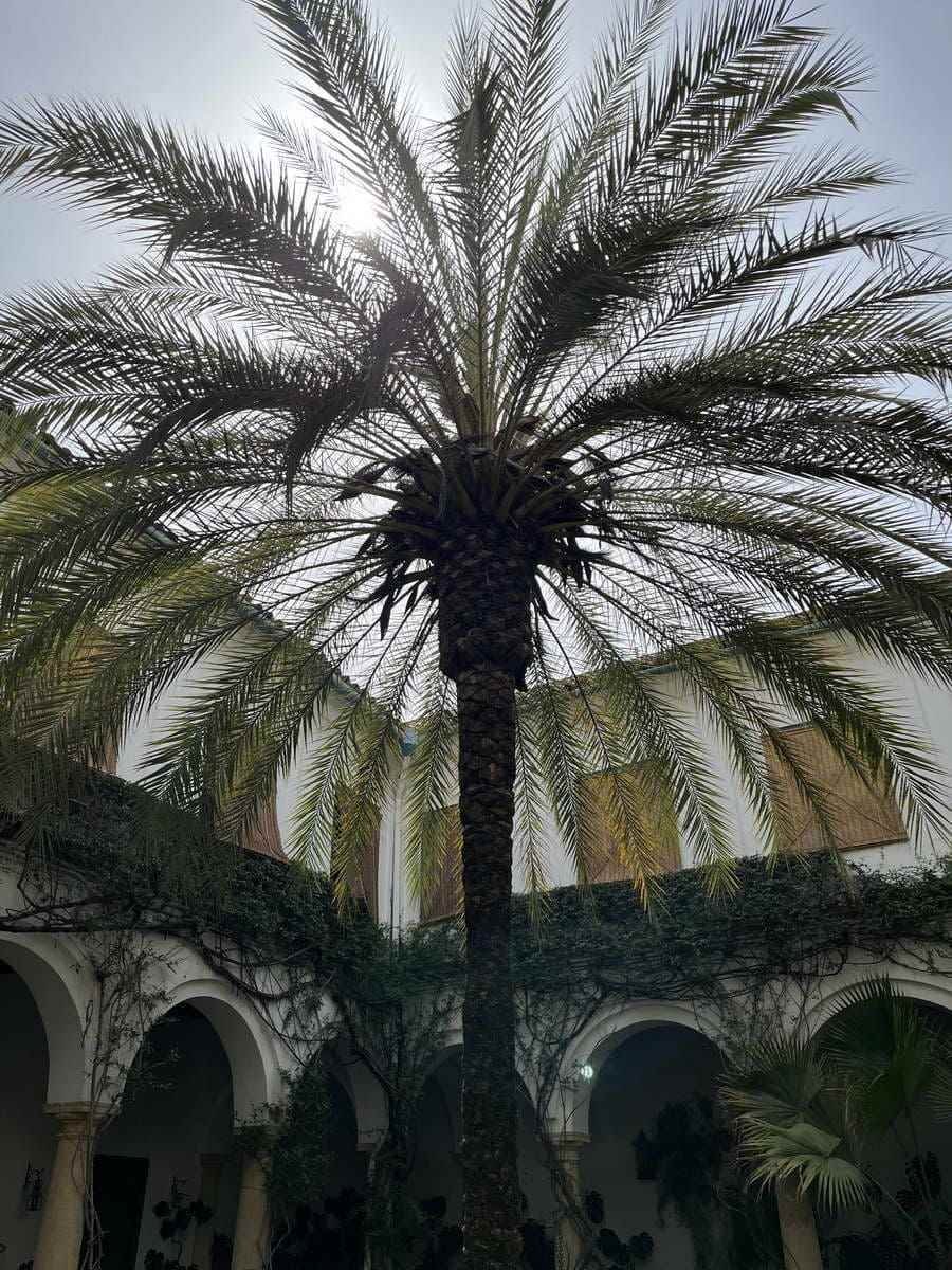 Un palacio andaluz