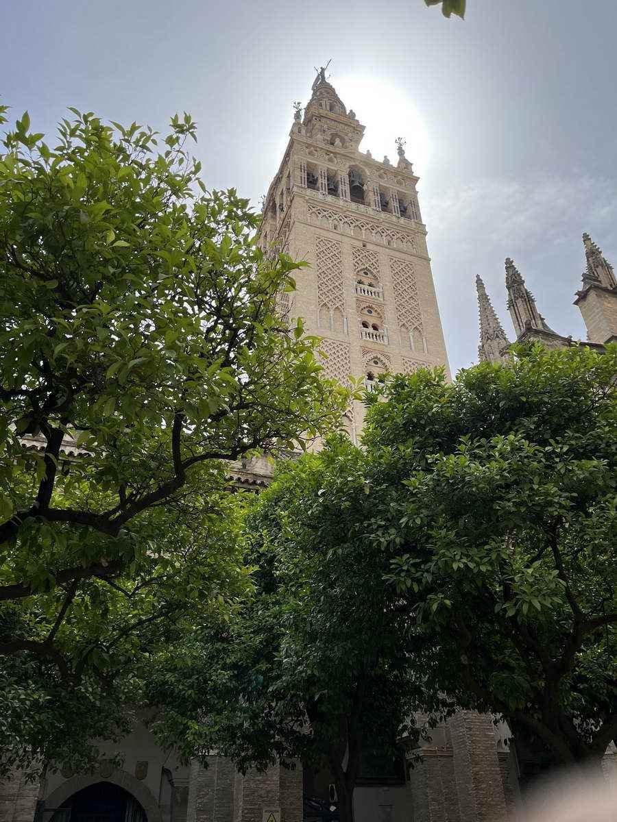 La catedral de Sevilla