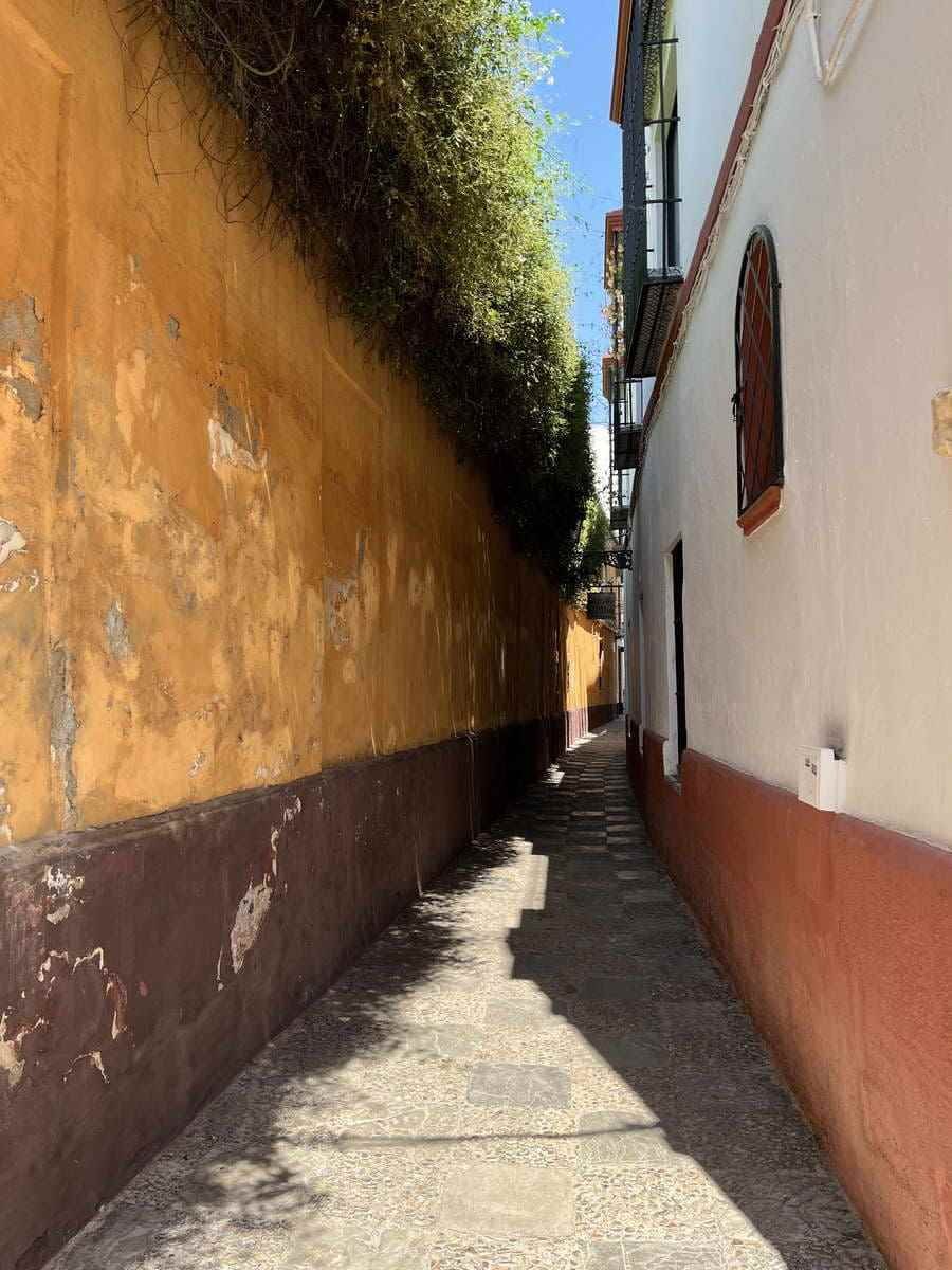 ¡Viva Sevilla!