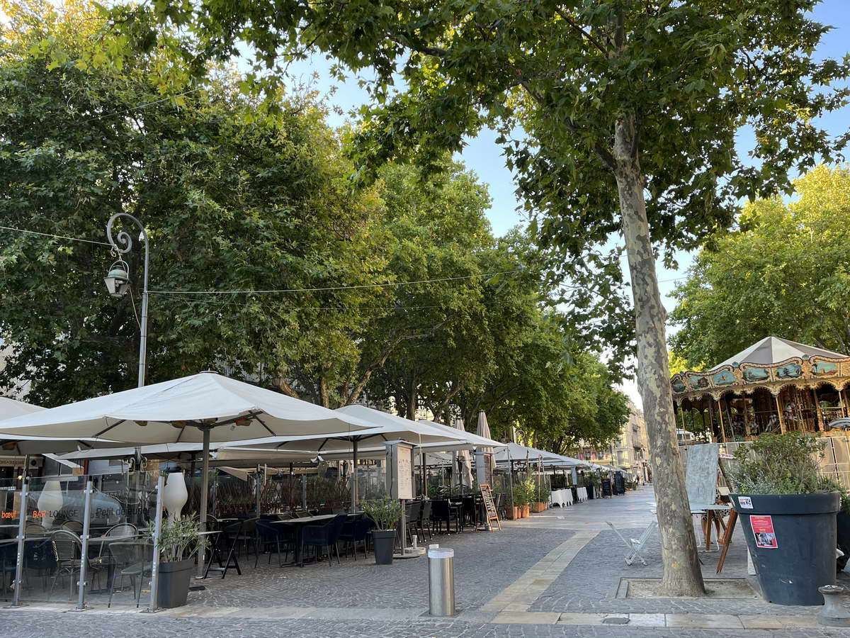 Avignon, una ciudad rica en historia
