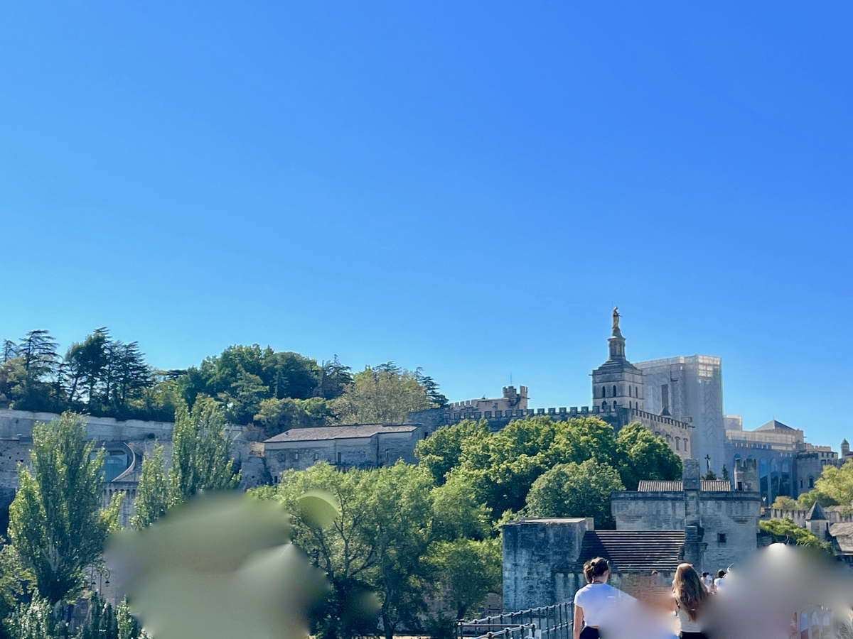 Avignon, una ciudad rica en historia