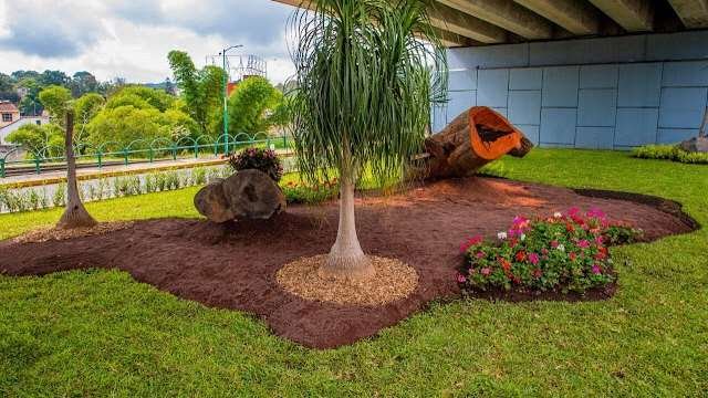 Xalapa de las Flores