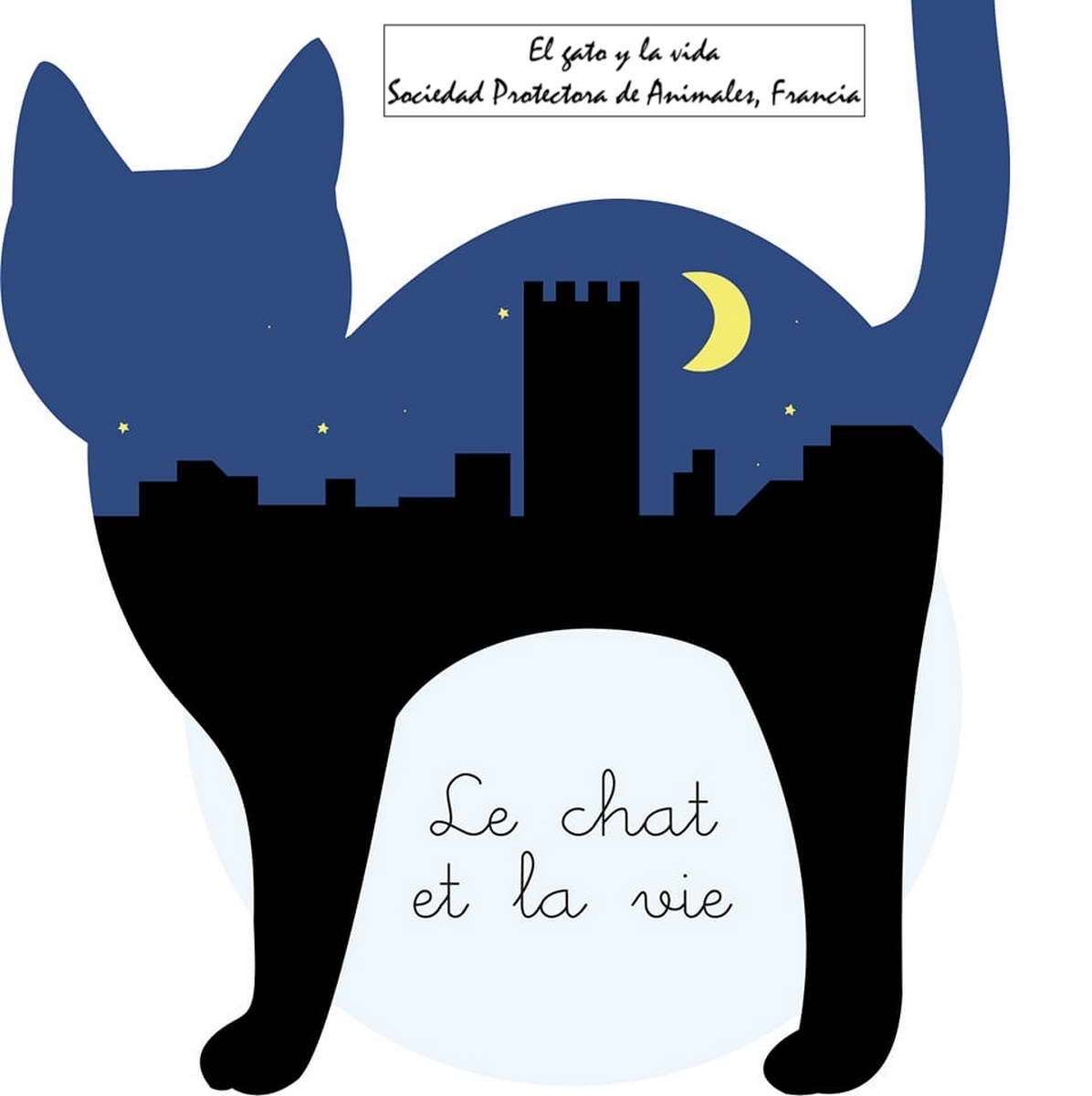 ¿Tiene usted un gato?