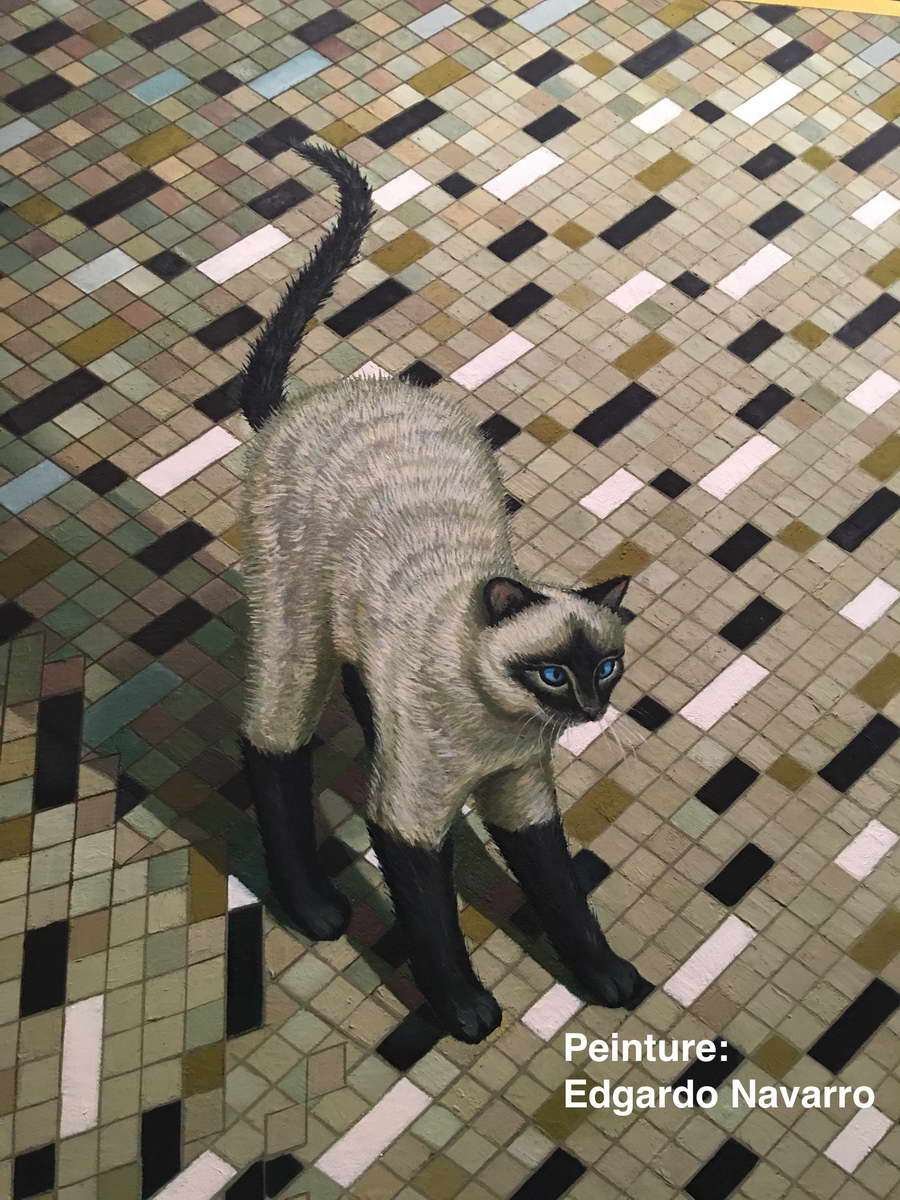 ¿Tiene usted un gato?