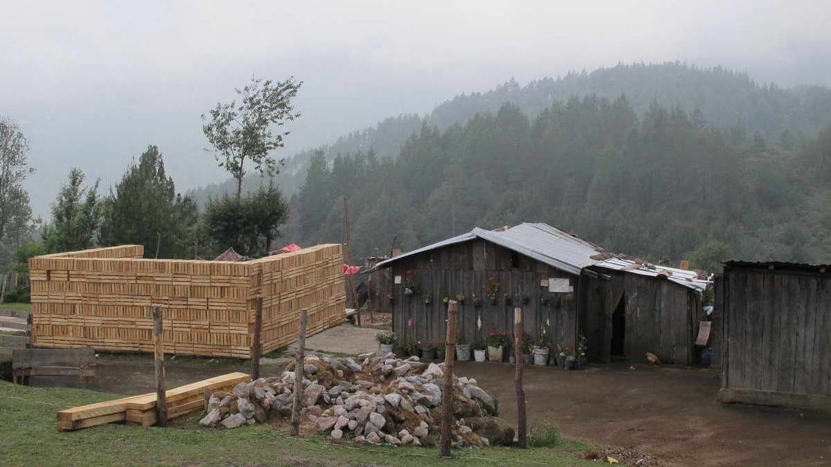 Tala y nula reforestación, brutal condena al Pico de Orizaba