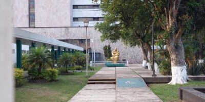 IMSS